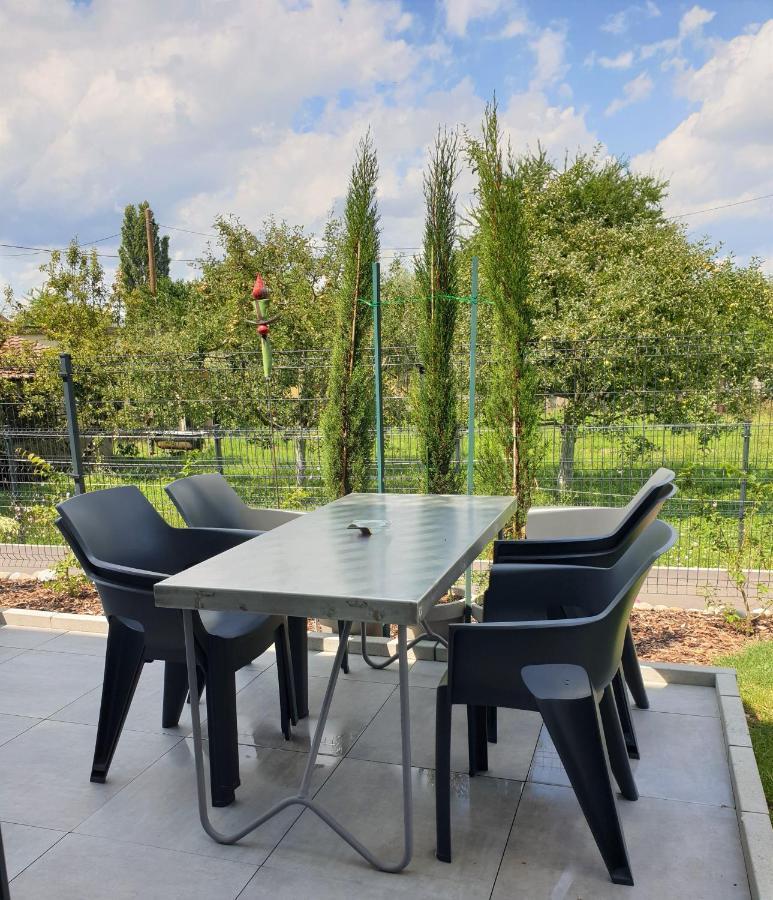 Апартаменты "Le 43" Terrasse, Jardin, 2 Garages Кольмар Экстерьер фото